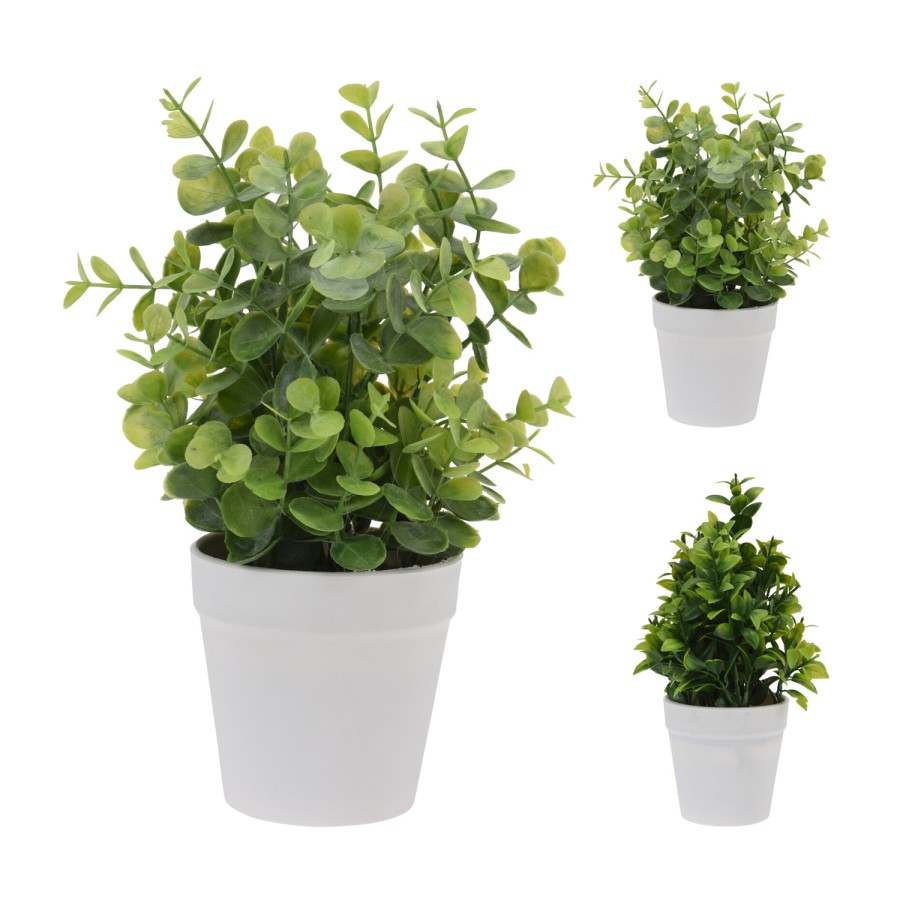 Plantje in pot 9x25cm