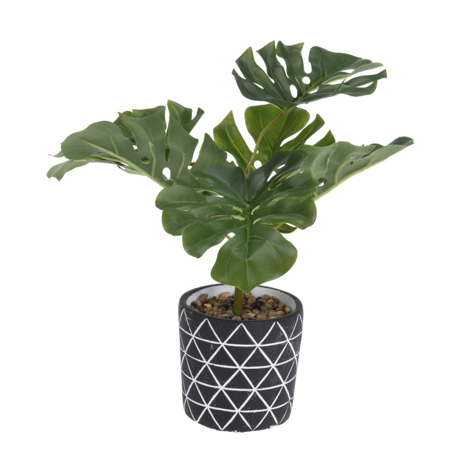 Plant kunst in cement pot Plant kunst in cement pot