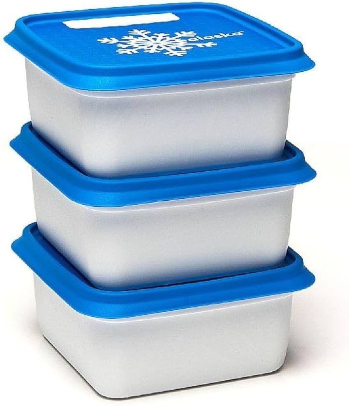 Day To Day Diepvriesbak Set 3x500ml Alaska