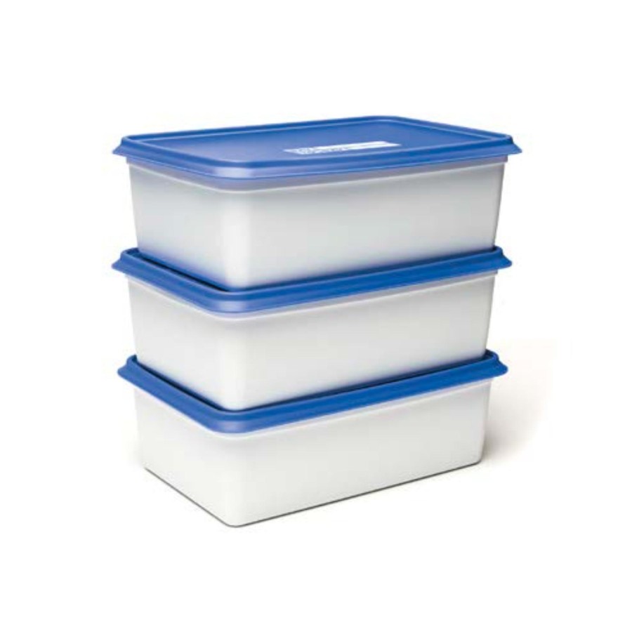 Day To Day Diepvriesbak Set 3x2000ml Alaska