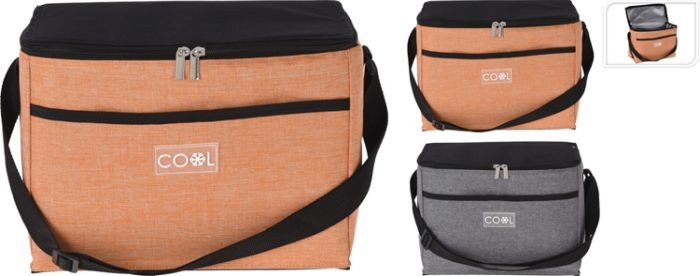KOELTAS 10 Liter 42X30X19CM 2ASS KLEUR