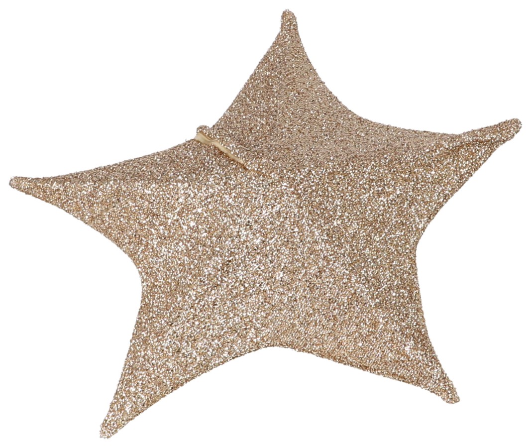 Kerst Ster 50Cm 30 Led Stof Goud