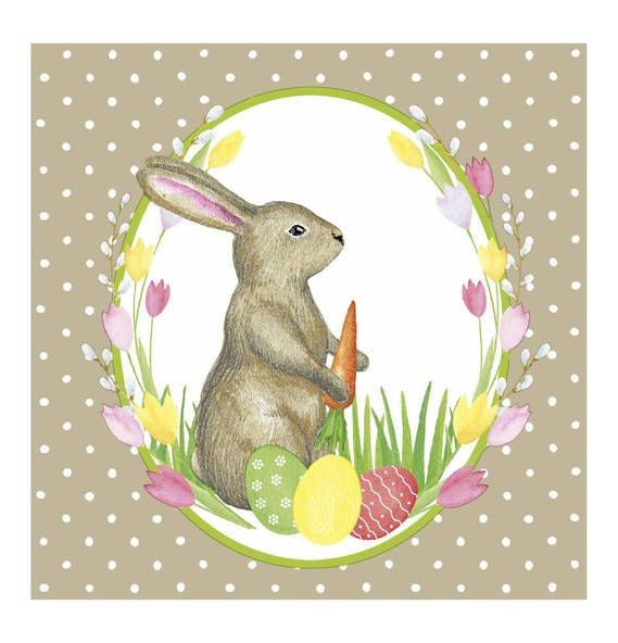 Duni Servetten Mr. Rabbit 33 Cm Duni Servetten Mr. Rabbit 33 Cm