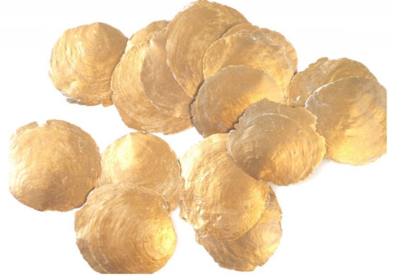 Camarschelp goud