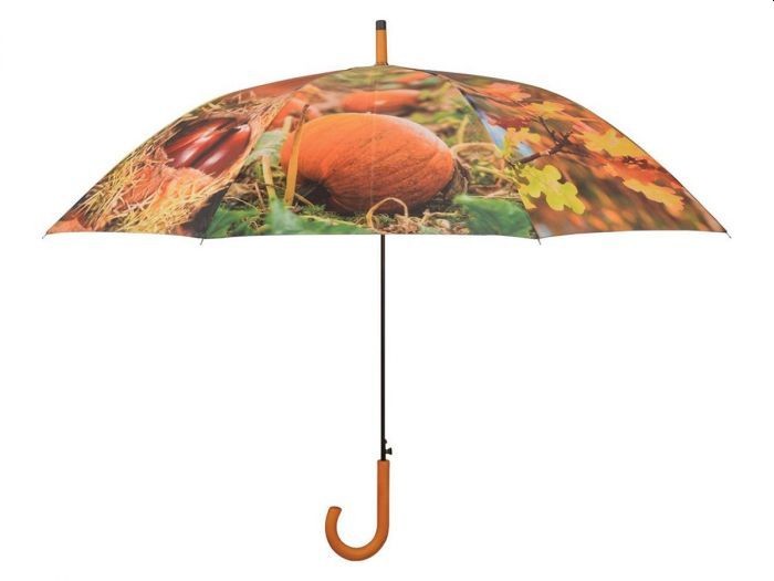 Paraplu herfst Paraplu herfst