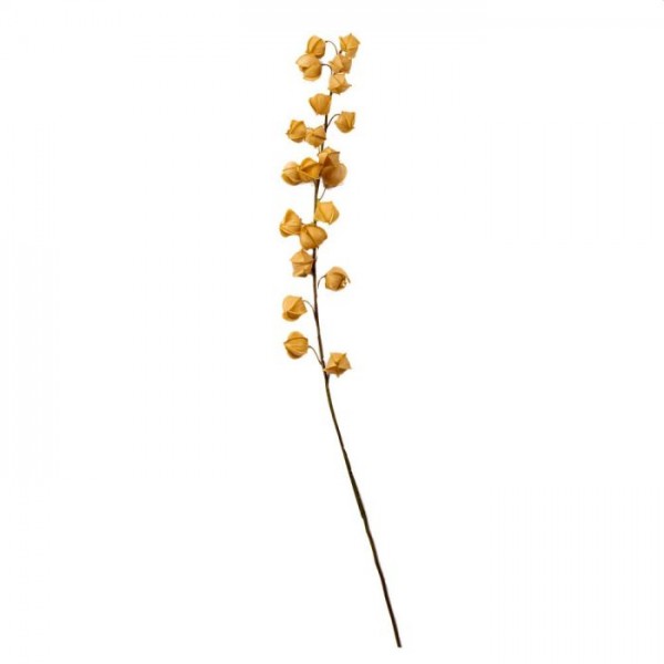 Home society Faux plant physalis